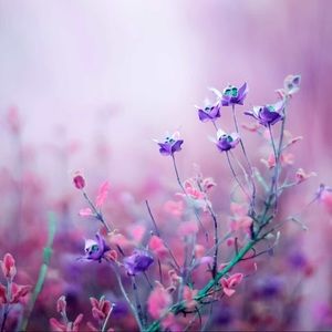 Meet your Posher, Kelsie